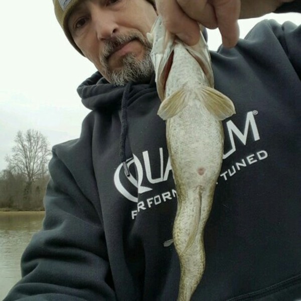 A photo of TennesseeTony's catch