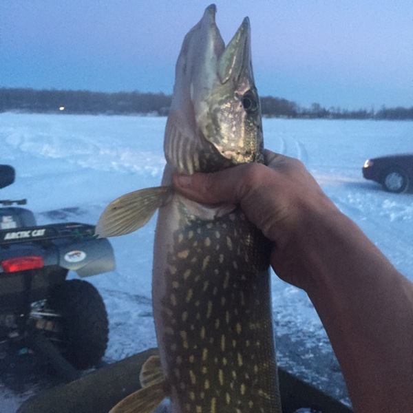 A photo of Darren Cossette 's catch