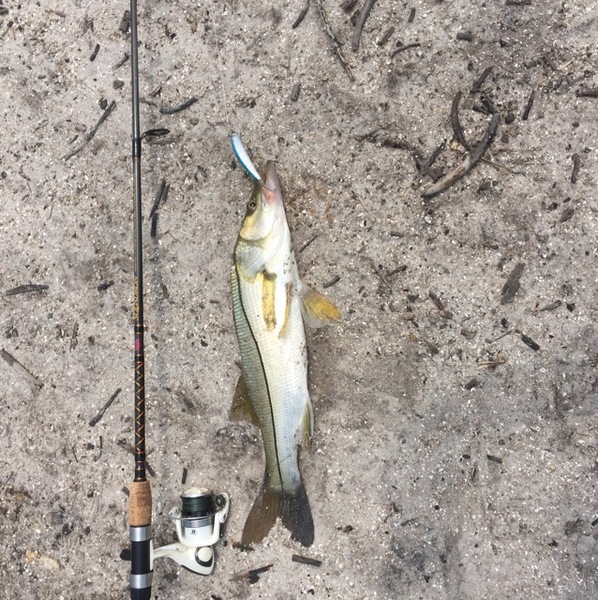 A photo of redman77's catch