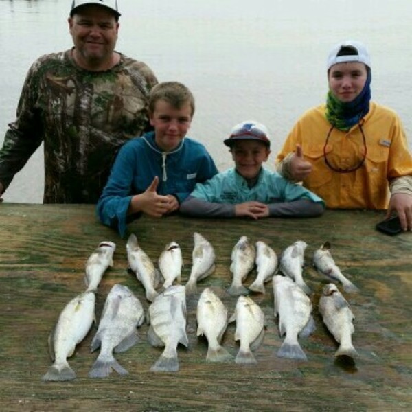 A photo of BassFisher2's catch