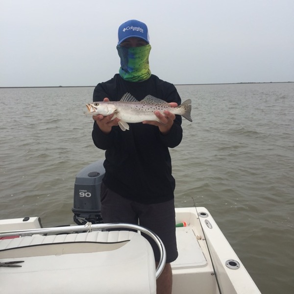 A photo of Taylor_freese's catch