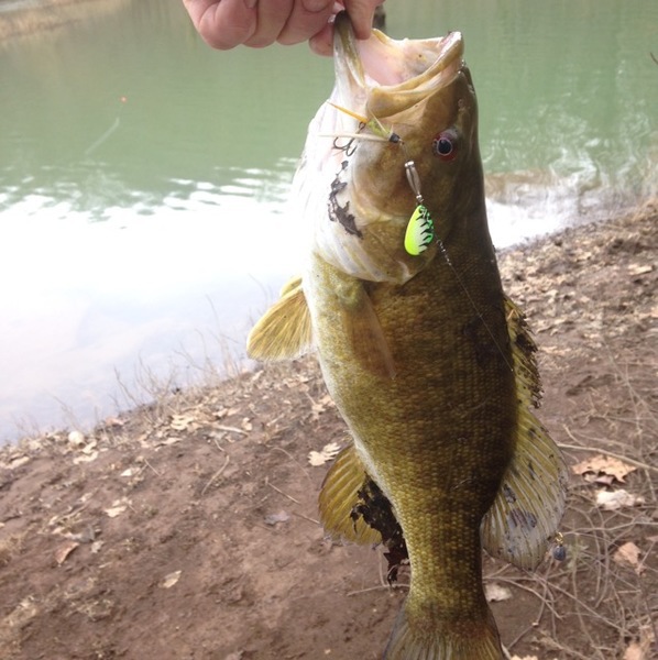 A photo of Ray Younger's catch
