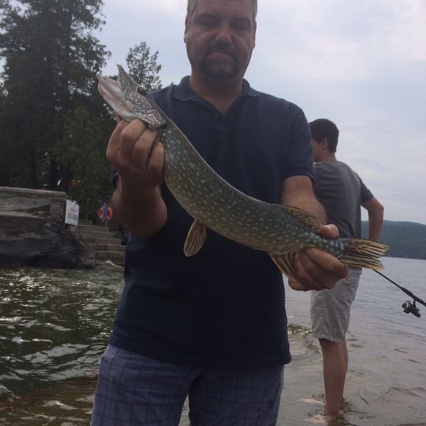 A photo of tleveen's catch
