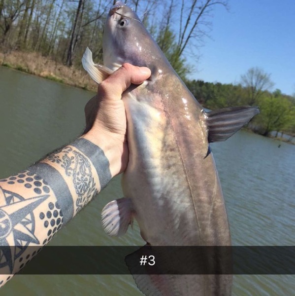 A photo of coolguychris's catch