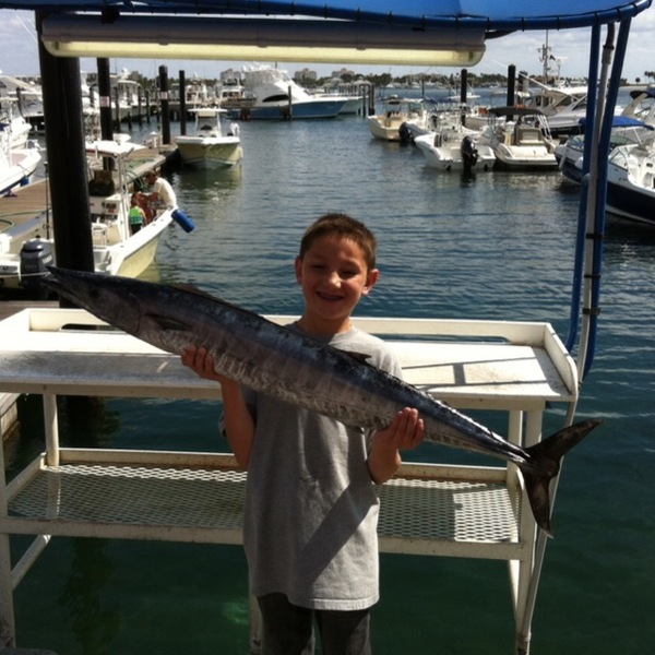A photo of Bassfisher02's catch