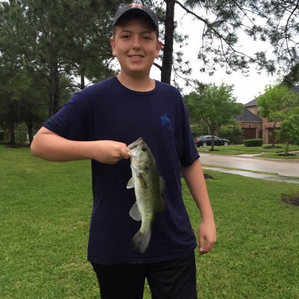 A photo of tyler7graves's catch