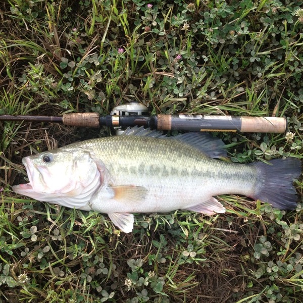 A photo of Edward Pease Bomber1's catch
