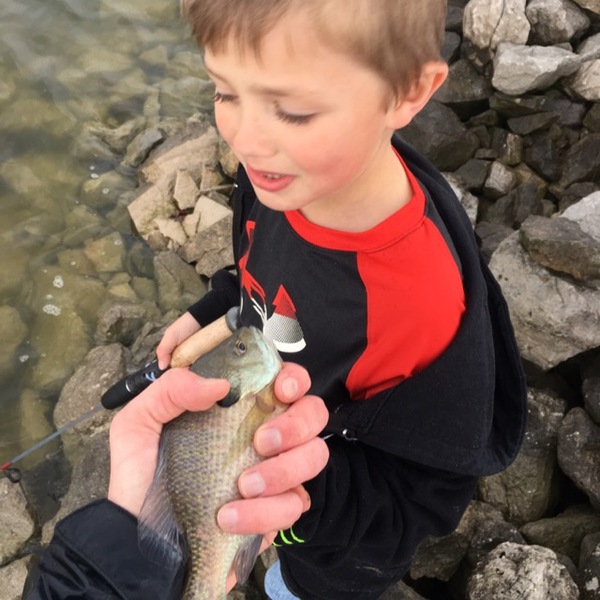 A photo of fishbandit's catch