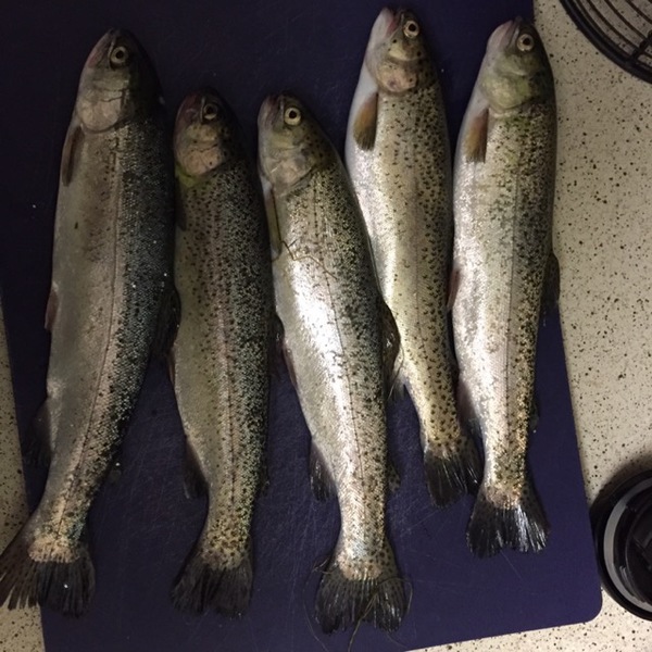 A photo of Laymon's catch