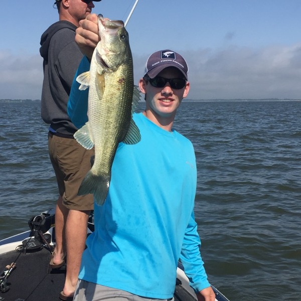 A photo of jackfain7's catch