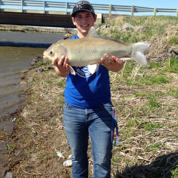 A photo of Foxman54's catch