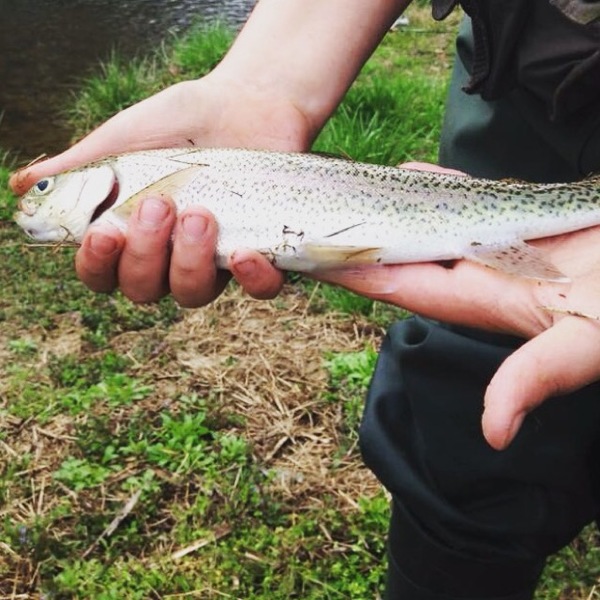 A photo of garland's catch