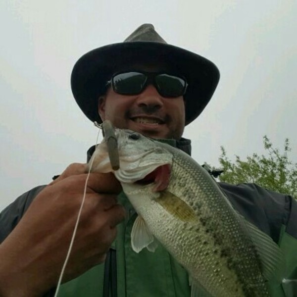 A photo of Chrismac79's catch