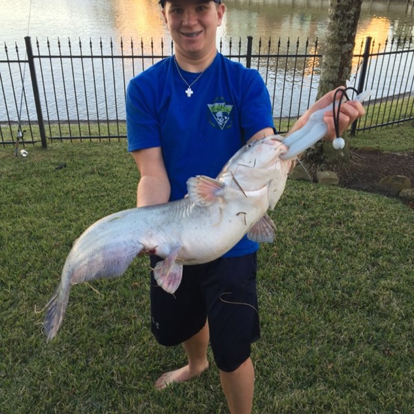 A photo of dwparker02's catch