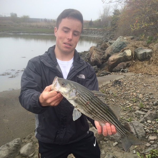 A photo of SMCD920's catch