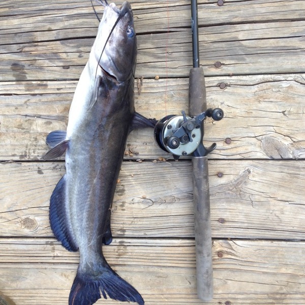 A photo of only_in_Texas's catch