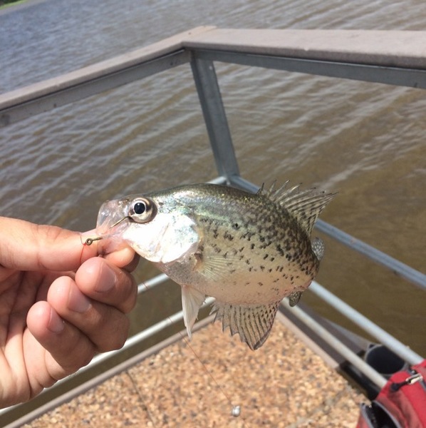 A photo of cvance's catch