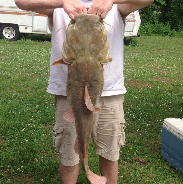 A photo of buzz1's catch