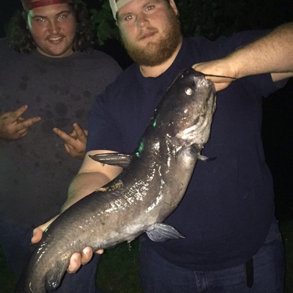 A photo of bbennett683's catch