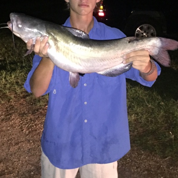 A photo of calderreed's catch