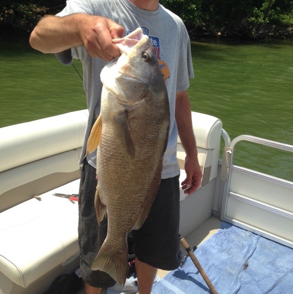 A photo of mike Ramsey's catch