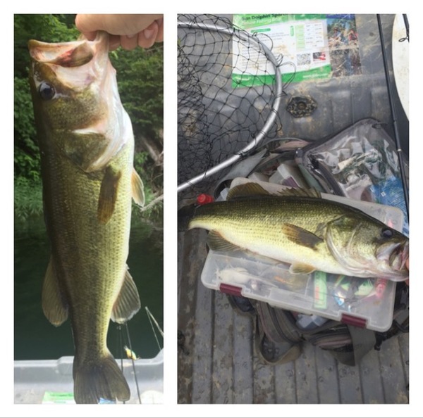 A photo of Jesse Webb's catch