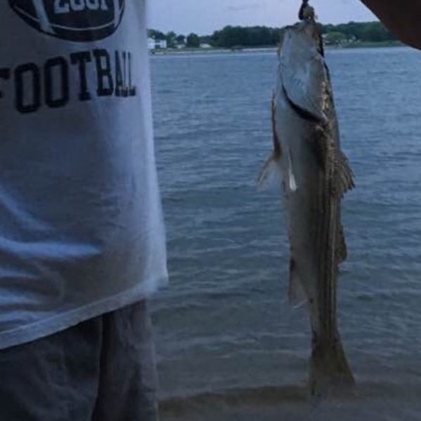 A photo of Billy_Bones's catch