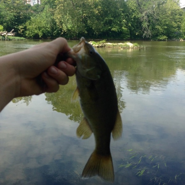 A photo of Alex Howe's catch