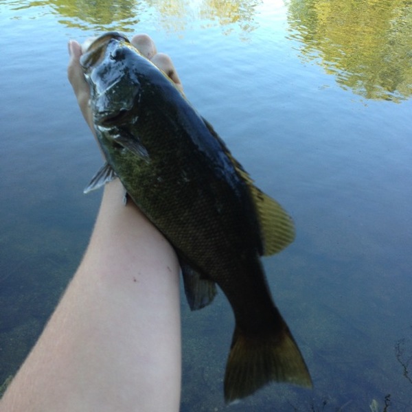 A photo of Alex Howe's catch