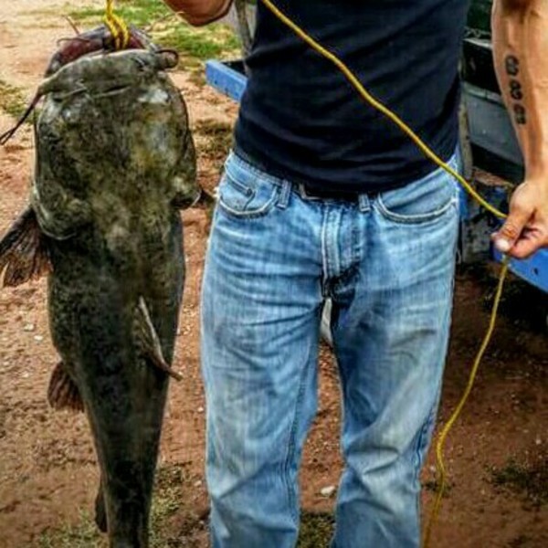 A photo of Aaron Britton's catch