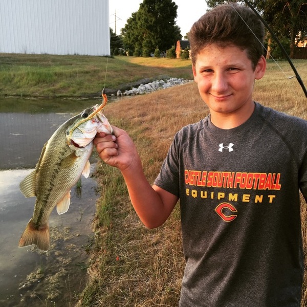 A photo of bassbomber's catch