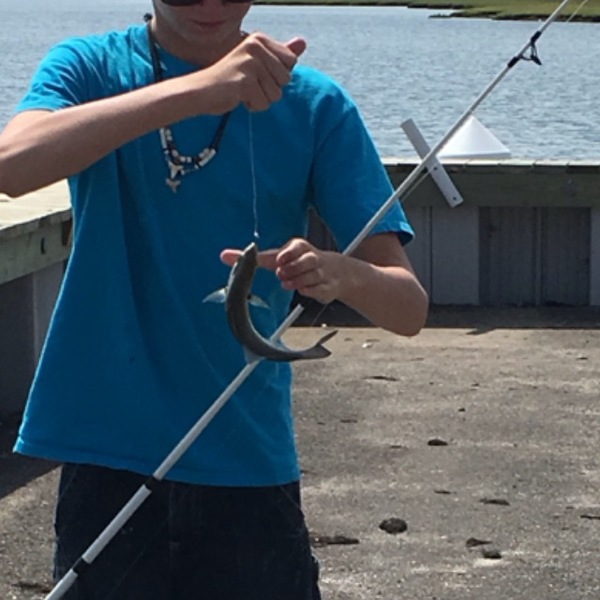 A photo of FishingBro101's catch