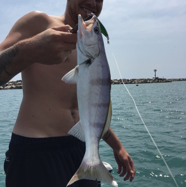 A photo of brian's catch