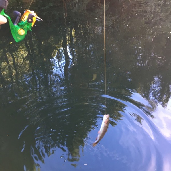 A photo of Erin Brunton's catch