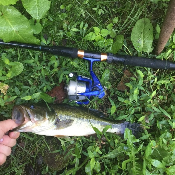 A photo of loganham1's catch