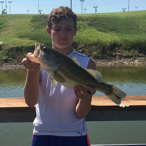 A photo of flomofisher234's catch