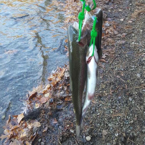 A photo of Bill Lew's catch