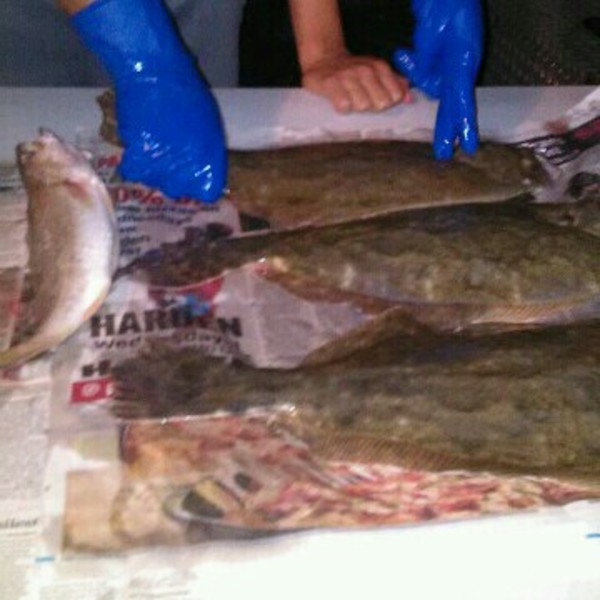 A photo of flyguy21's catch