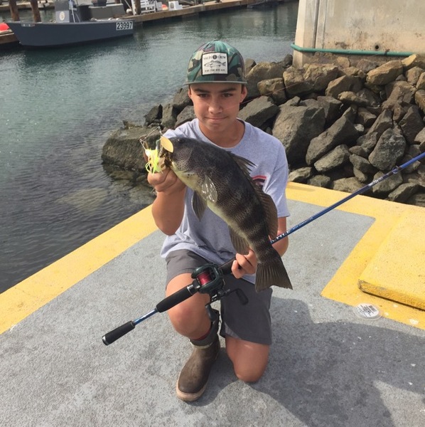 A photo of Cadynz23's catch
