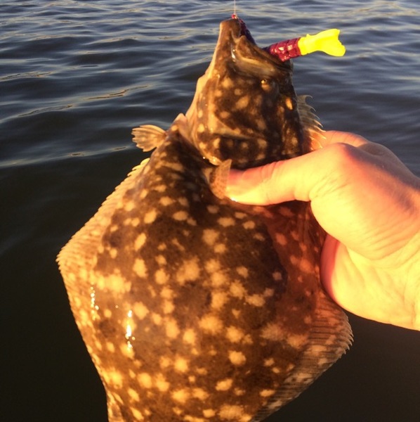 A photo of tmhunt85's catch