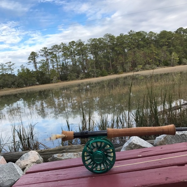 A photo of owen_laird's catch