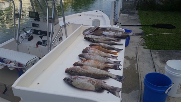 A photo of Boneafide Charters's catch