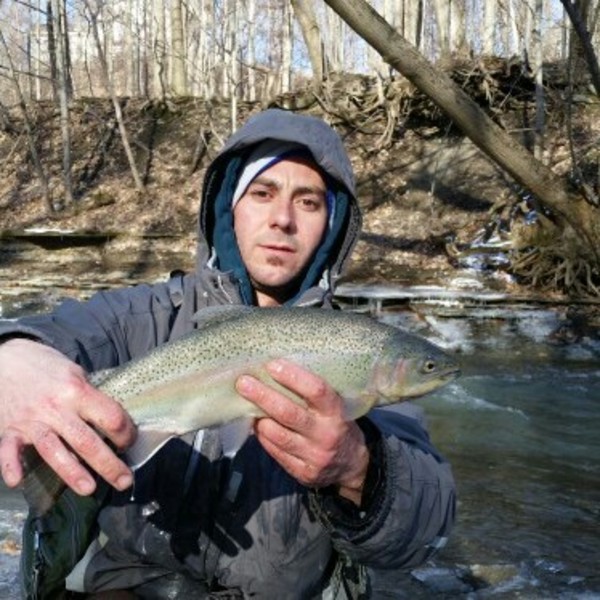 A photo of darthsteelius's catch
