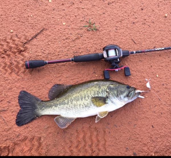 A photo of Laine Dillard's catch