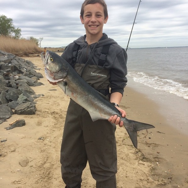 A photo of Hookin34's catch