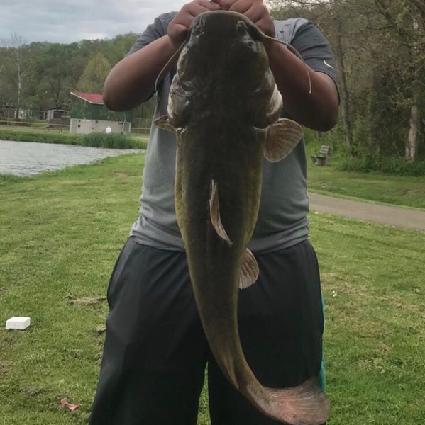 A photo of jais123's catch