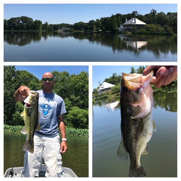 A photo of Quinner006's catch