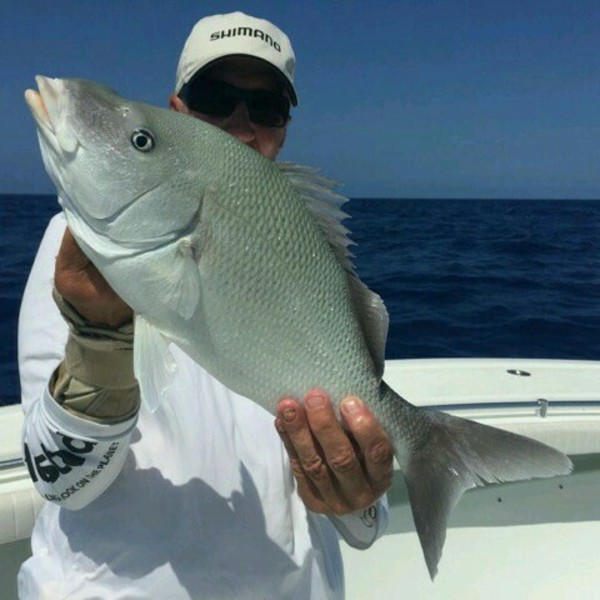 A photo of Ken's catch