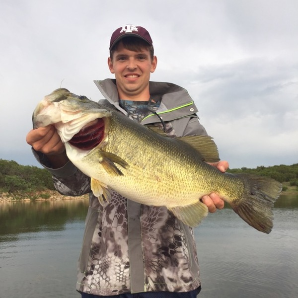 A photo of Giff_Giffin's catch