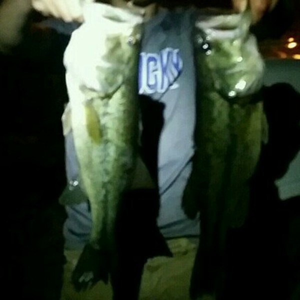 A photo of kole fleming's catch